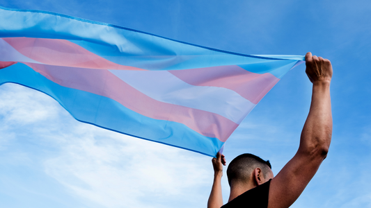 Transgender Flag
